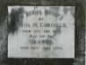 pmCORFIELD1
